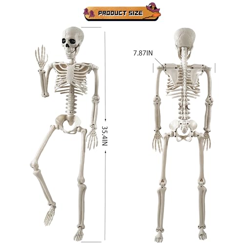 Halloween Skeleton Decoration Set - Life Size Posable Human Skeletons 4 Pack