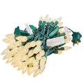 Outdoor Christmas Lights 17ft 50 LED Faceted C6 String Lights - Warm White