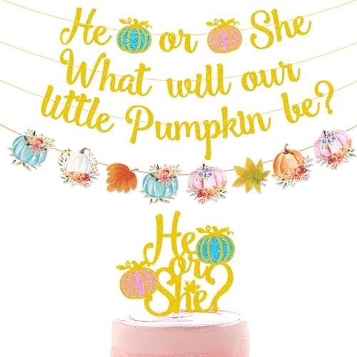 Thanksgiving Pumpkin Banner Gender Reveal Party Decorations - Fall Autumn Harvest Flags & Cake Topper