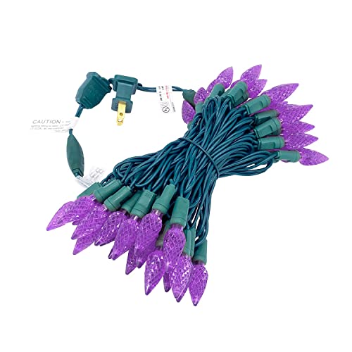 Purple C6 LED Christmas Lights String 50 Count Outdoor Garden Patio Decoration
