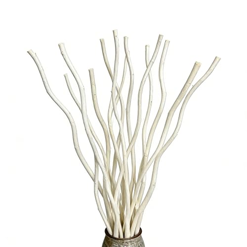 White Dried Curly Willow Branches - 15 Stems, 18-19 Inch Natural Birch Decor