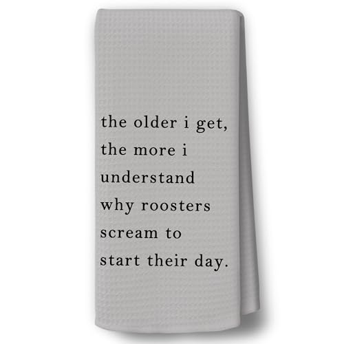 Funny Sarcastic Kitchen Towels - Hand Tea Dish Towel with Saying, Gray, 16x24, Variation: Funny-23