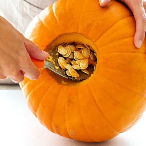 Halloween Pumpkin Carving Kit with 4 Stainless Steel Tools & 6 Stencils - 10 Pieces
