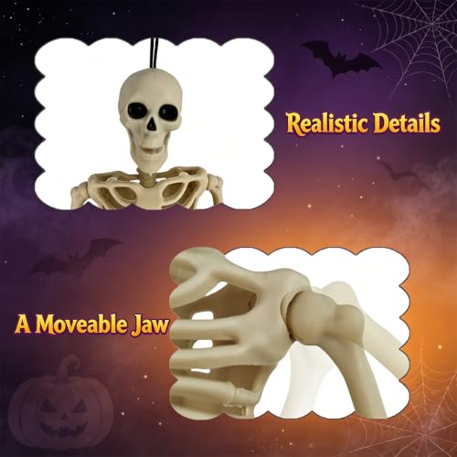 Full Body Halloween Skeleton Decorations - Movable Joints, Hanging or Standing, 16 Inch, Indoor & Outdoor Use