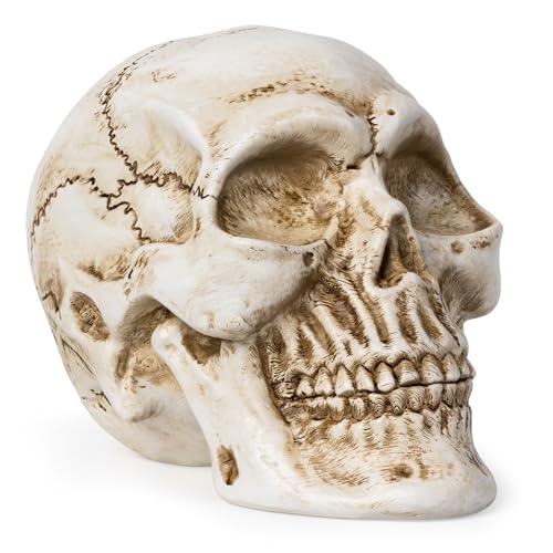 White Resin Skull Statue for Home Decor Gothic Halloween Ornament