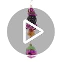 Witchy Woman Glass Christmas Ornament - Halloween Tree Decor - Radko 2023 Collectible