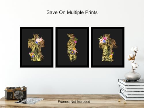 Human Anatomy Poster 11x14 Inches - Nurse & Medical Wall Art - Unframed Decor for Hospital & Office - Variation of THIS listing