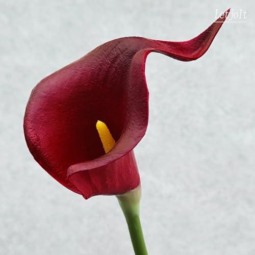 Dark Red Artificial Calla Lily Flowers 20Pcs - Elegant Wedding & Decor Flowers