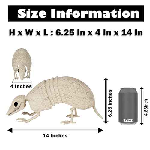 Armadillo Skeleton Halloween Decoration - Realistic Wildlife Scene, 14x4x6.25 Inches