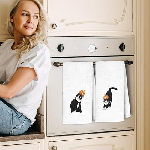 Fall Tuxedo Cat Pumpkin Hand Dish Towels Set of 2 - Halloween Kitchen Decor