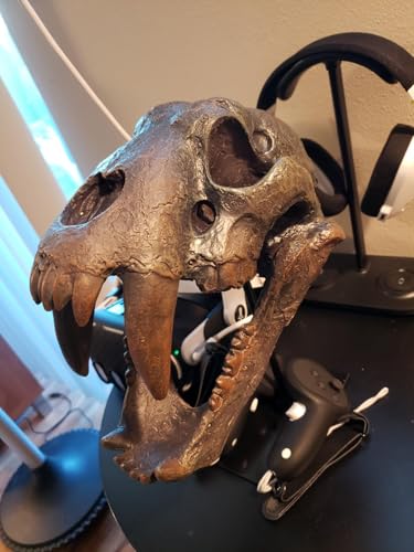 Museum-Quality Saber-Toothed Tiger Skull Replica - Prehistoric Fossil Decor Model