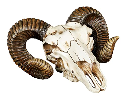 Ram Skull Wall Trophy Decor - Baphomet Horns 11 Inch Halloween & Day of the Dead