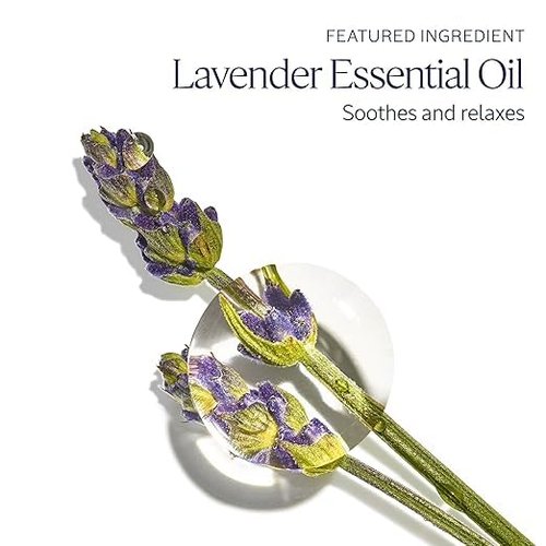 L'OCCITANE Hand Cream Set - 8 Nourishing Travel-Size Tubes with Shea Butter for Moisturized Hands