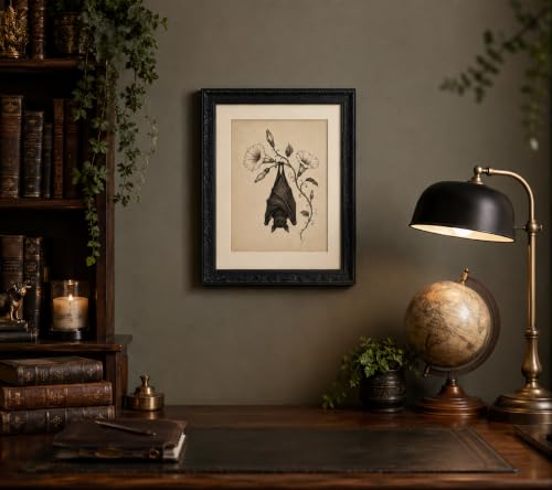 Vintage Halloween Bat Sketch Canvas Wall Art - Upside Down Bat 24x16 Inches