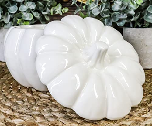 Ceramic Pumpkin Bowl with Lid - 6 Inch Harvest Pumpkin Serveware - White