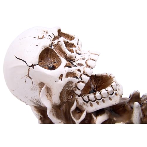 Skeleton Wine Bottle Holder - Gothic Skeleton Design, Halloween Decor