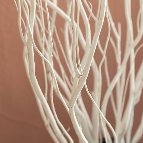 White Painted Willow Twigs - 37 Inch Dried Natural Decorative Stems for DIY Crafts & Floral Arrangements - Set of 12