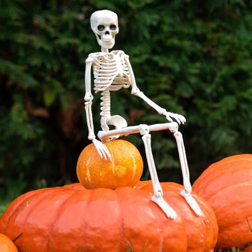 16-Inch Plastic Full Body Skeleton Halloween Decoration - Posable Hanging Skeleton for Haunted House & Graveyard Props