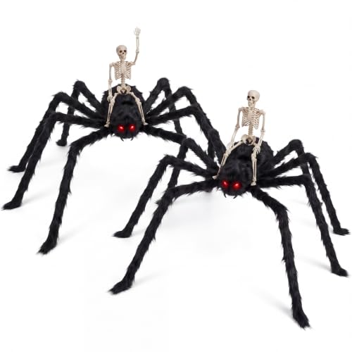Halloween Spider and Skeleton Decoration Set - Indoor Outdoor Party Props