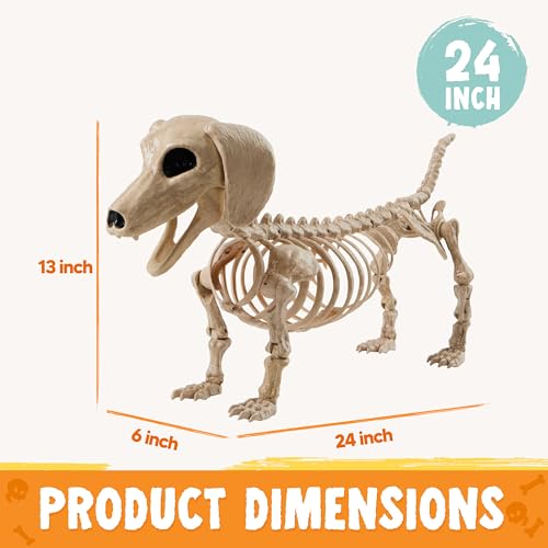 24-Inch Posable Dog Skeleton Halloween Decoration - Indoor Outdoor Spooky Prop