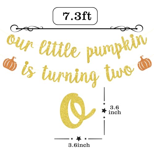 Autumn Second Birthday Banner - Pumpkin Theme for Halloween & Fall Parties