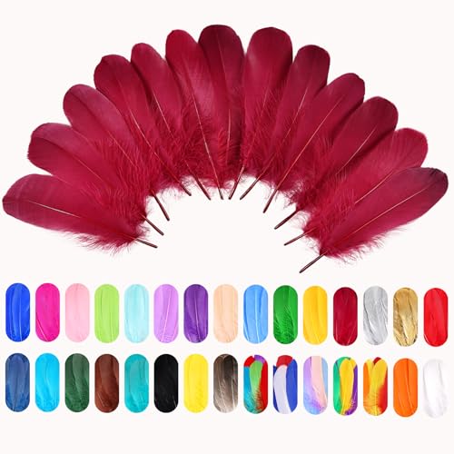 FeelfunFeather 120pcs Wine Red Goose Feathers 6-8 Inch for DIY Crafts & Decorations