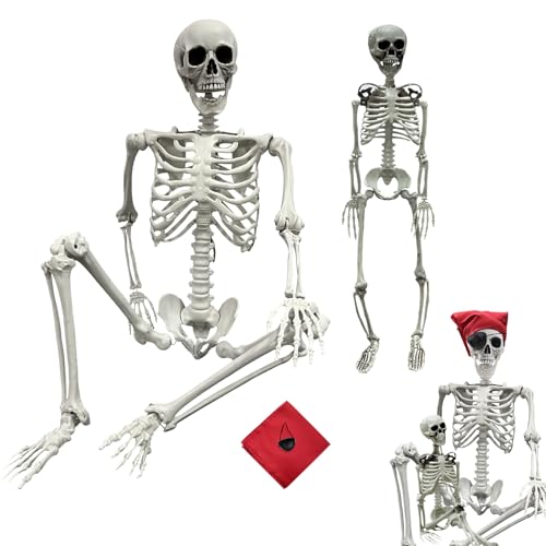 Posable Halloween Skeleton Prop - Life Size 5.4ft & 3ft Full Body Bones with Joints