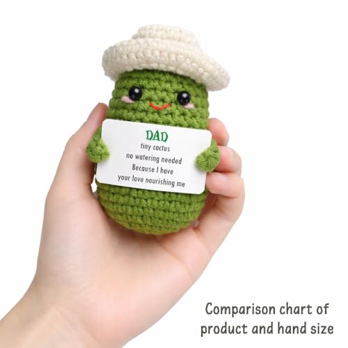 Crochet Grass Hat Cactus Decor for Dad - Father's Day Keepsake Gift
