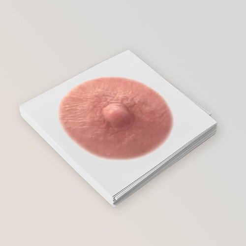 TataTattoos Temporary Realistic Nipple/Areola Tattoos – Non-Surgical for Mastectomy Recovery – for Post Breast Cancer Surgery (Auburn, Large (Pack of 20))