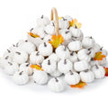 80 Pcs White Fall Artificial Pumpkins - 3.15 Inch Foam Decor Set - Liliful