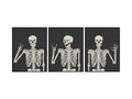Skeleton Wall Art & Decor 11x14 Inch Prints - Halloween Gothic Home Decor - Pagan & Funny Skull Artwork - Variation 3