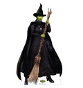 Elphaba Cardboard Cutout - Wicked Themed Life-Size Standee, 70 Inches