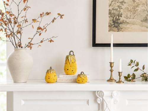 Fall Pumpkin Decorations 3-Piece Farmhouse Autumn Decor for Thanksgiving