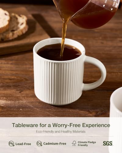 Oat Coffee Mug Set of 6 - 16 oz Large Handcrafted Stoneware Cups with Handle