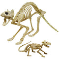 Halloween Skeleton Animal Decorations Set - Skeleton Cat and Mouse for Indoor Outdoor Parties