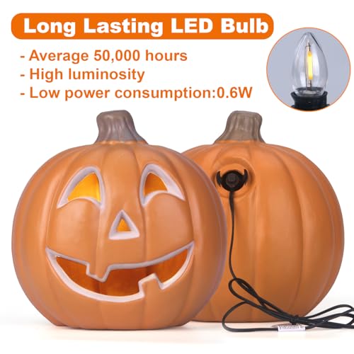 10-Inch Jack O Lantern Halloween Pumpkin Lantern Lighted Decor - R Variation