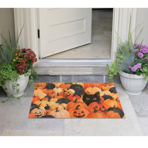 Halloween Fall Kitchen Rug with Black Cat and Pumpkin - Non-Slip Washable Doormat 30x17 Inches - Orange Variation