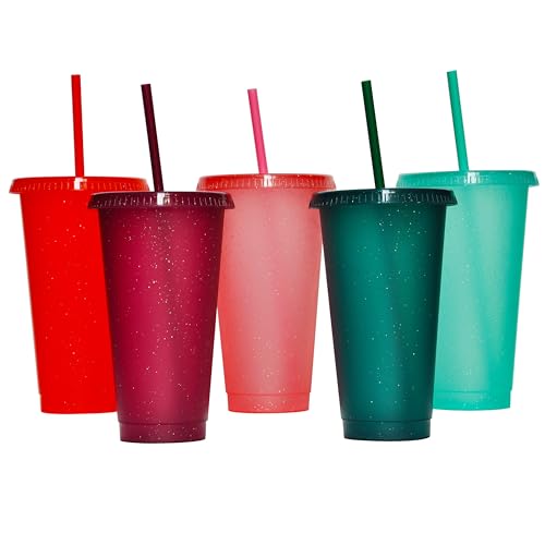 Rainbow 24oz Water Bottle Set with Straws and Lids - Reusable Plastic Travel Cups - 5 Pack