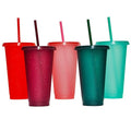 Rainbow 24oz Water Bottle Set with Straws and Lids - Reusable Plastic Travel Cups - 5 Pack