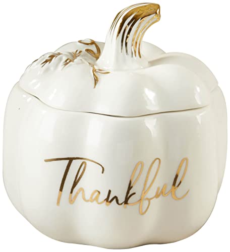 White Ceramic Pumpkin Bowl with Lid - Fall Thanksgiving Decor & Candy Dish