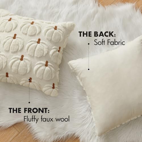 Fall Pumpkin Pillow Covers Set - Cream White with 3D Embroidered Pumpkins, 16x16 Inches, Pack of 2