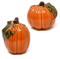 Halloween Pumpkin Salt & Pepper Shaker Set of 2 Ceramic Orange Gourds