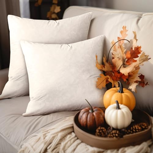 Euro Throw Pillow Set 2 Pack - 26x26 Inch Medium Firm Cotton Cushions