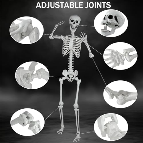 Life Size Halloween Skeleton 5.9Ft with Posable Joints Indoor Outdoor Decoration - 180cm