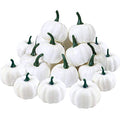 White Mini Artificial Pumpkins 36 Pack Fall Harvest Decor for Home & Parties