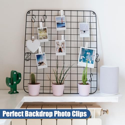 20 Pack Large Balloon Arch Clips - 3.5 Inch Plastic Backdrop Spring Clamps