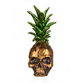 Halloween Pineapple Skull Tabletop Decor - Spooky Centerpiece, 14 Inches