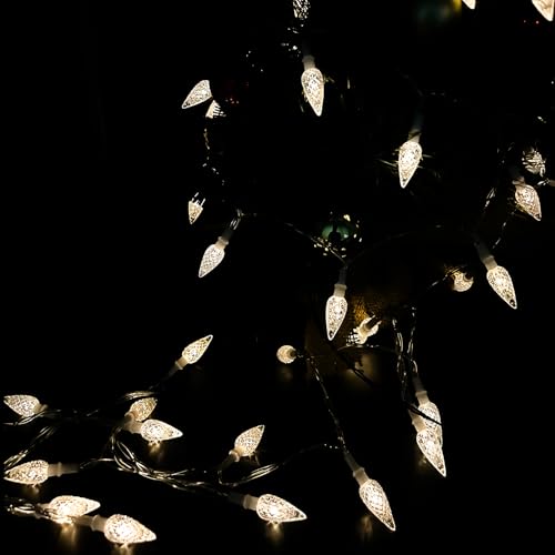Anycosy Battery-Powered Indoor Outdoor String Lights - Warm White, 50 C3 LEDs