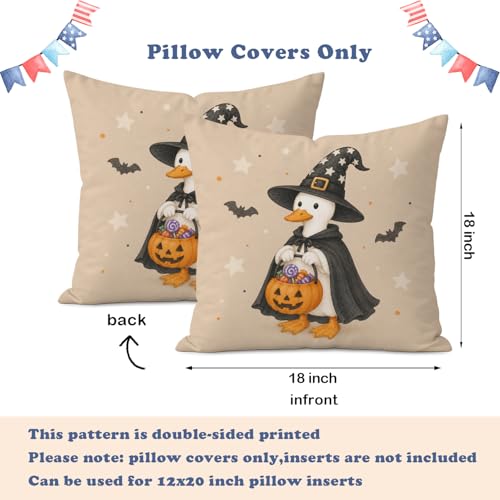 Halloween Witch Goose Throw Pillow Cover 18x18 - Magic Witch Goose Variation