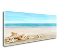 Beach Canvas Wall Art - Ocean Scene with Starfish & Seashells, 48x24 Inches Seashell Seaside Variation
